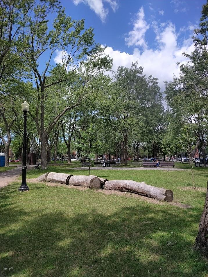 Pour l’érable chu du parc Molson, Montréal, au coin des rues D’Iberville et Beaubien.
