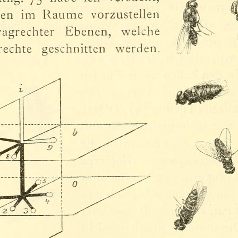 Image from page 459 of "Annalen des Naturhistorischen Museums in Wien" (1915)